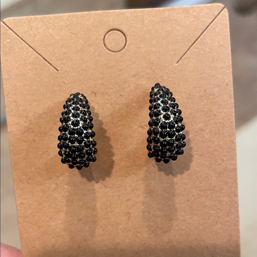 Black and Gold Tone Earrings - Picture 4 of 6
